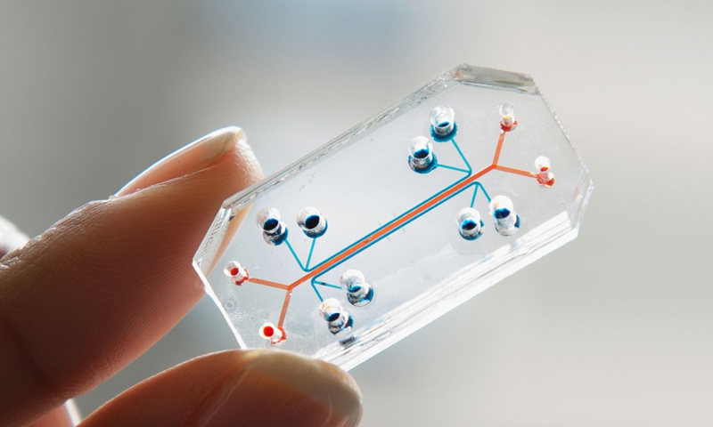 Illustration for article titled El premio al mejor diseño del año es para este órgano dentro de un chip